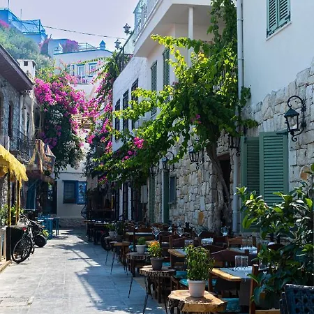 Ξενοδοχείο Rain And Food 3*